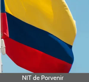 NIT de Porvenir - Todo lo que necesitas saber